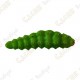 Cache "insect" - Large caterpillar