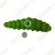 Cache "insect" - Large caterpillar